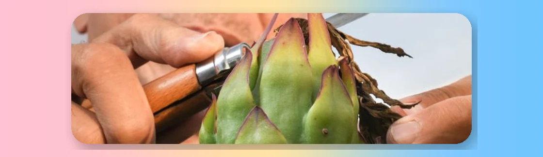 Soil care Soil care