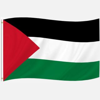 Palestine Flags 80x140 cm
